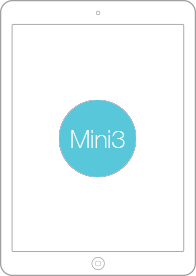 mini3