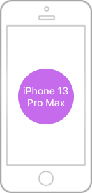 iPhone 13 Pro Max Repair